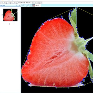 PMT-FruitAnalysis专业果实分析软件